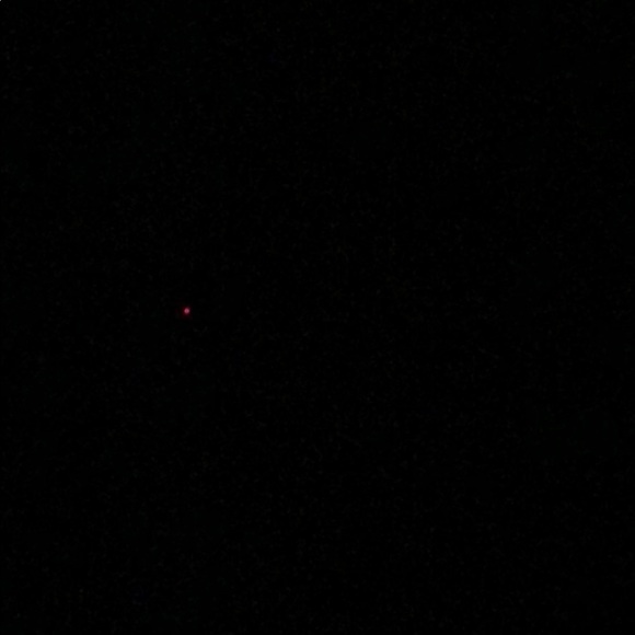 Meet your Posher, Max - Picture 1 of 1